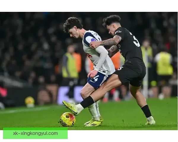 特尔盼弗兰克存疑重启热刺生涯