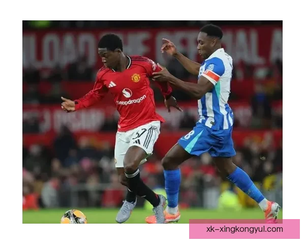 布莱顿战埃弗顿三笘薰维尔贝克